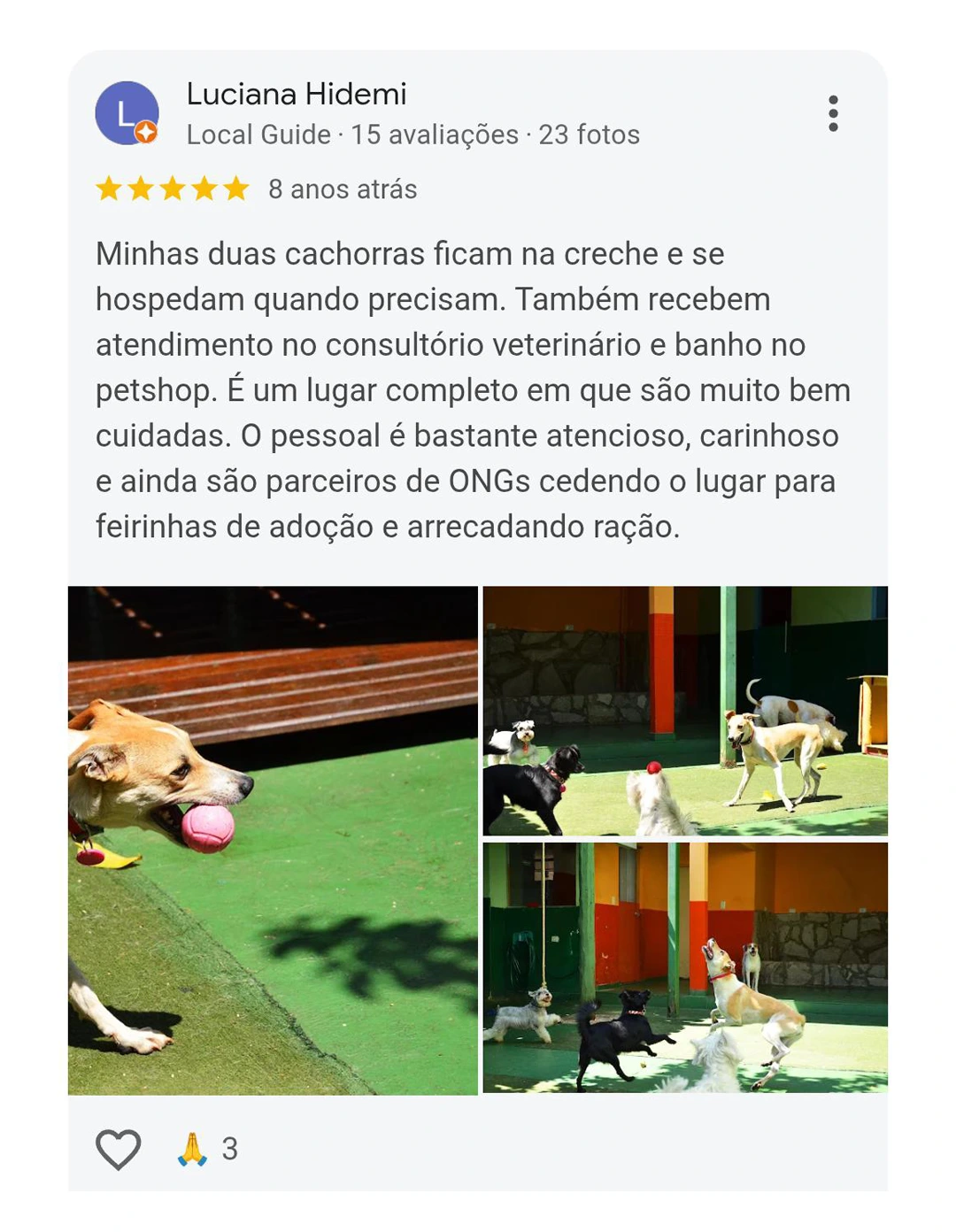 Avaliação 5 estrelas Pet Resort