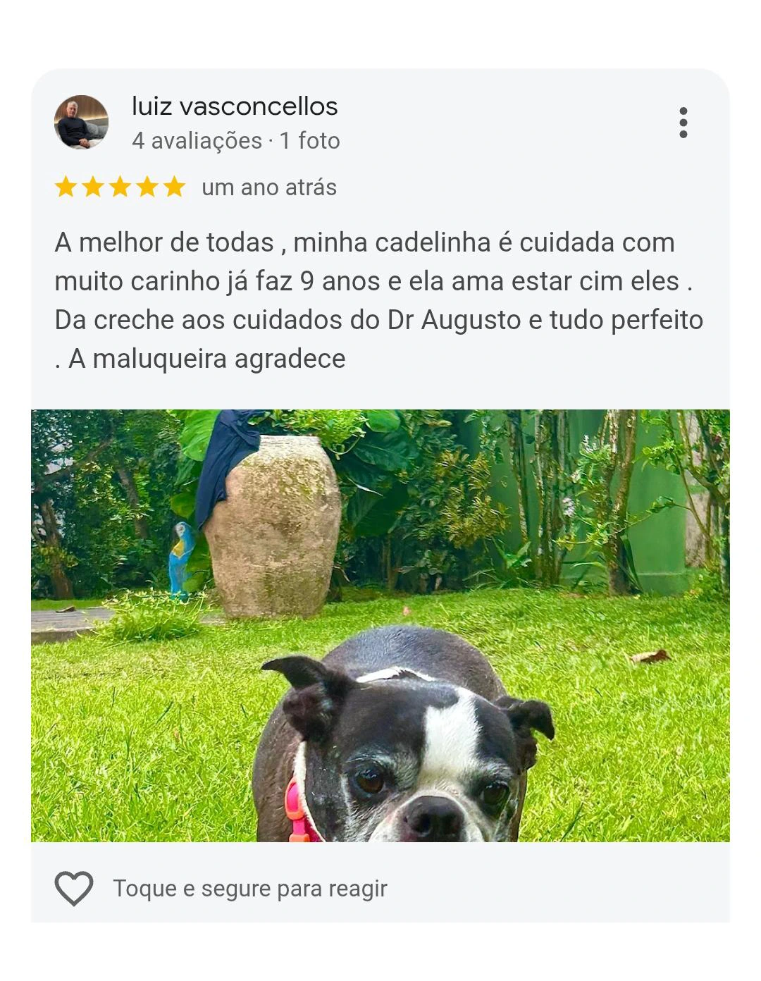Avaliação 5 estrelas Pet Resort