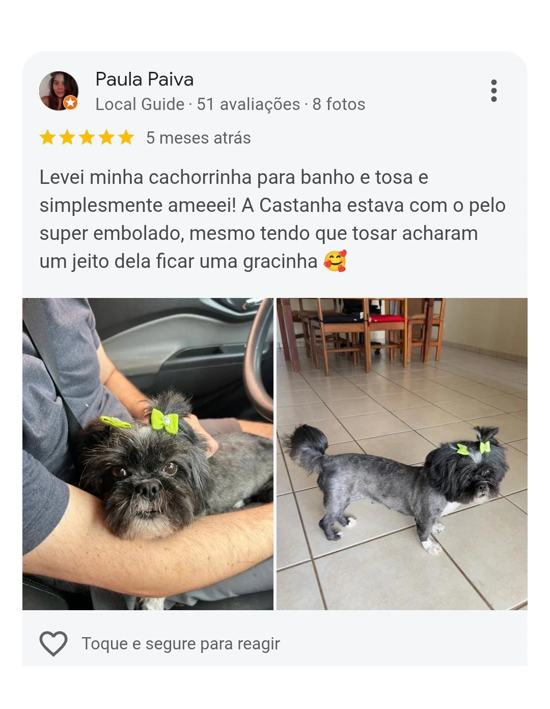 Avaliação 5 estrelas Pet Resort